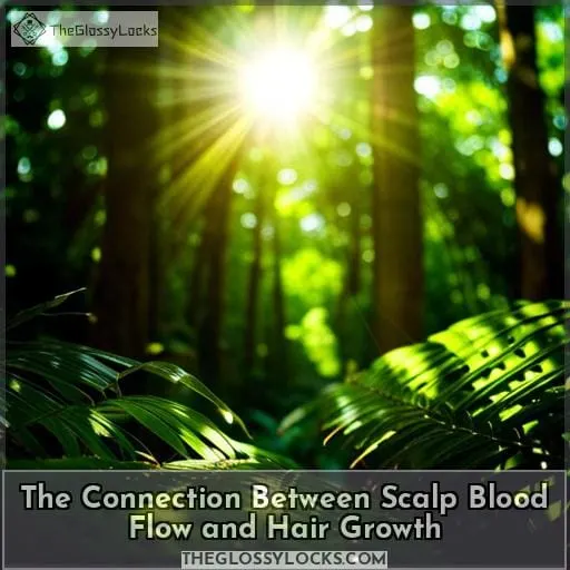 The Connection Between Scalp Blood Flow and Hair Growth