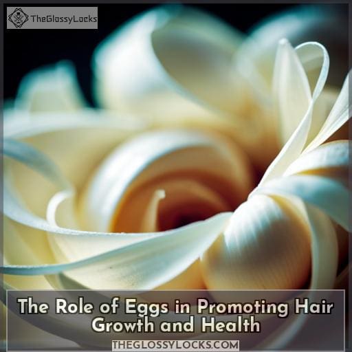 The Role of Eggs in Promoting Hair Growth and Health