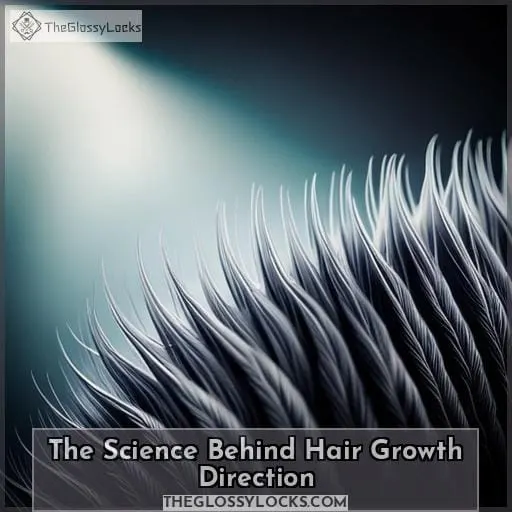 The Science Behind Hair Growth Direction