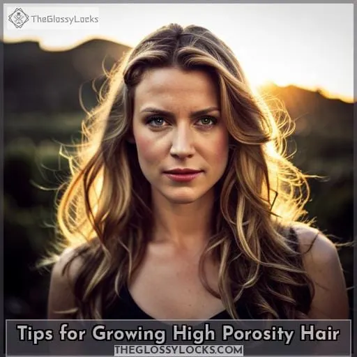 Tips for Growing High Porosity Hair