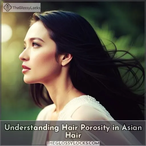 Understanding Hair Porosity in Asian Hair