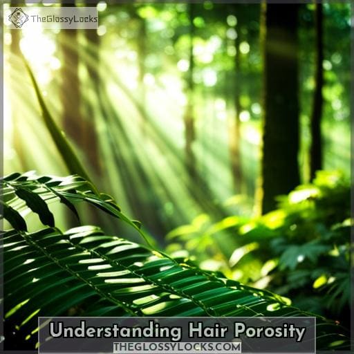 Understanding Hair Porosity Understanding Hair Porosity