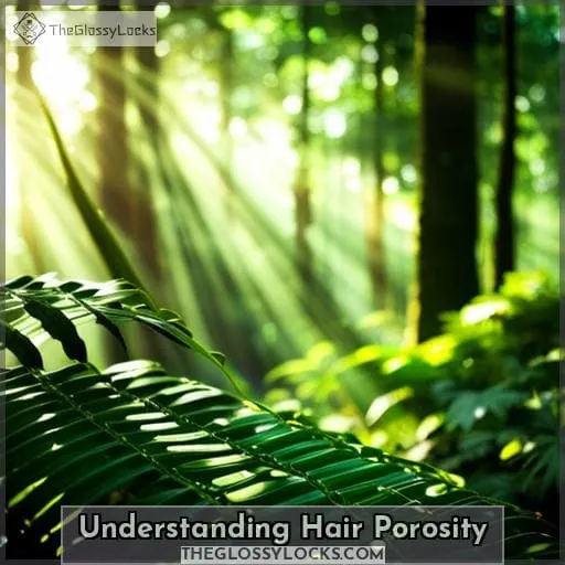 Understanding Hair Porosity