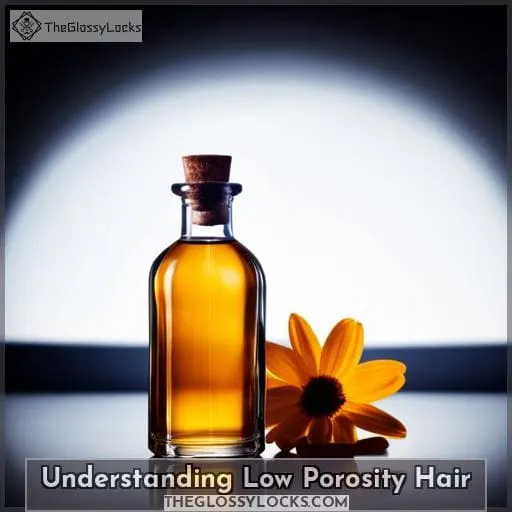 Understanding Low Porosity Hair