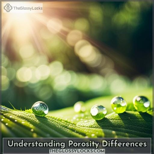 Understanding Porosity Differences