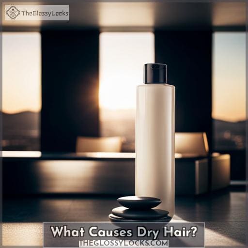 What Causes Dry Hair