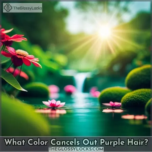 what color cancels out purple
