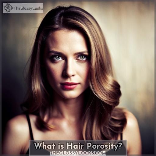 What is Hair Porosity What is Hair Porosity