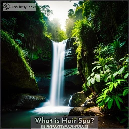 What is Hair Spa