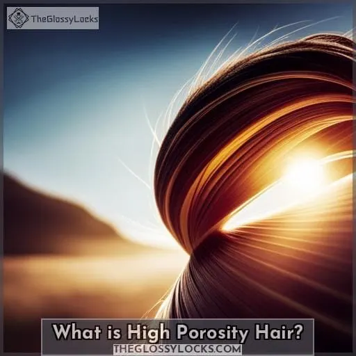 What is High Porosity Hair