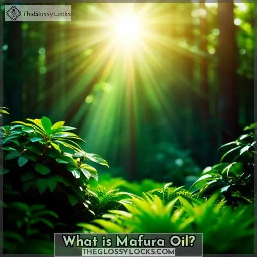 What is Mafura Oil