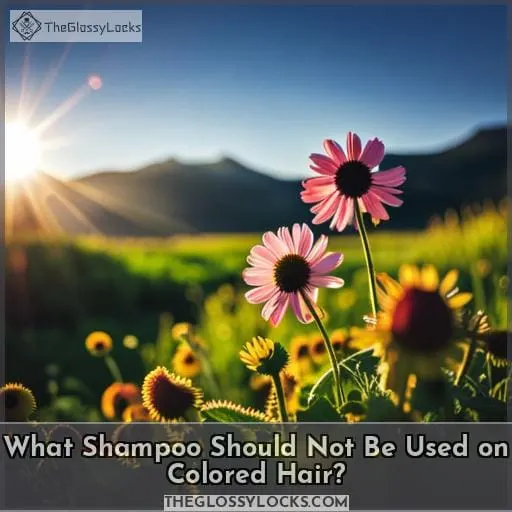 What Shampoo Should Not Be Used on Colored Hair