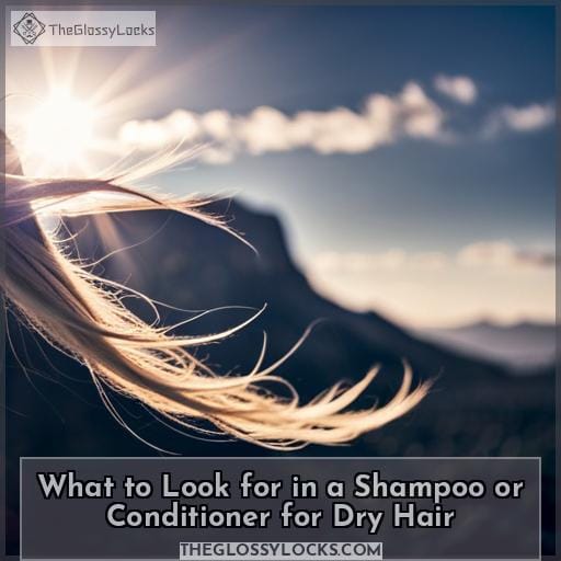 What to Look for in a Shampoo or Conditioner for Dry Hair