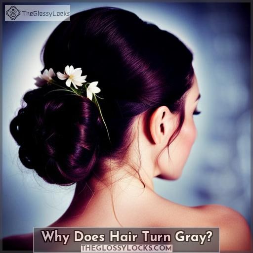 Why Does Hair Turn Gray Why Does Hair Turn Gray