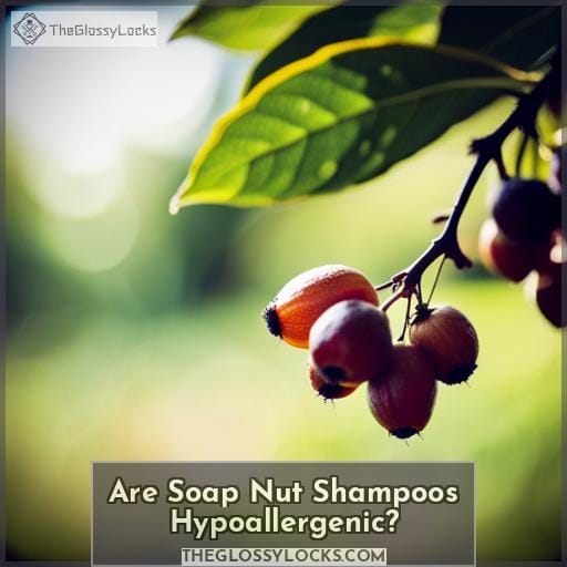 Are Soap Nut Shampoos Hypoallergenic
