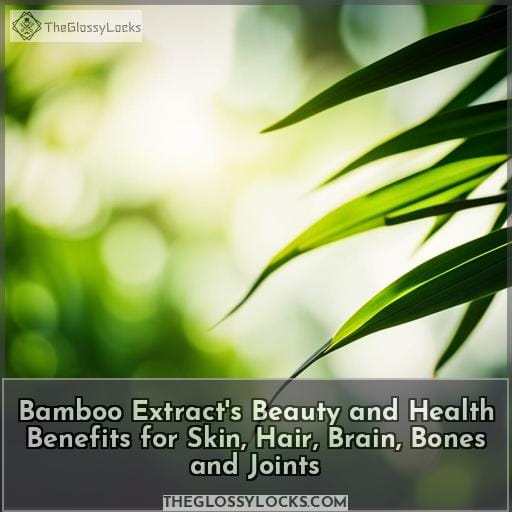Bamboo Extract's Beauty and Health Benefits For Skin, Hair, Brain