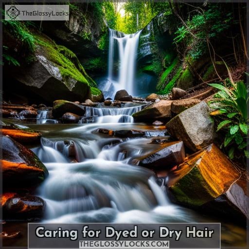 Caring for Dyed or Dry Hair