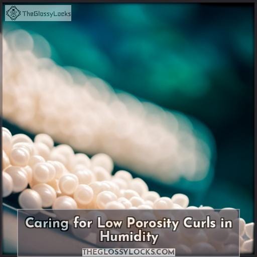 Caring for Low Porosity Curls in Humidity