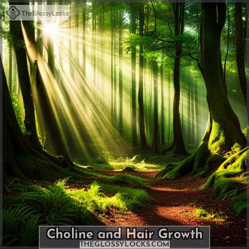 Choline and Hair Growth