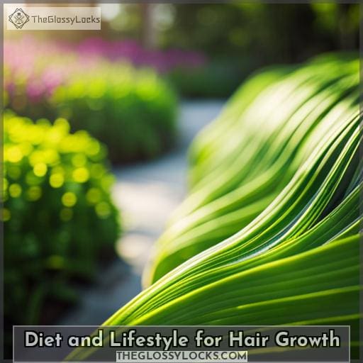 Diet and Lifestyle for Hair Growth