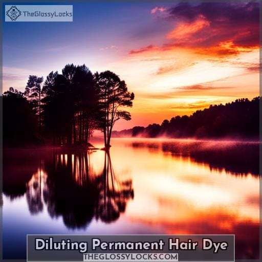 Diluting Permanent Hair Dye
