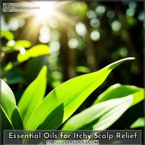 Essential Oils for Itchy Scalp Relief