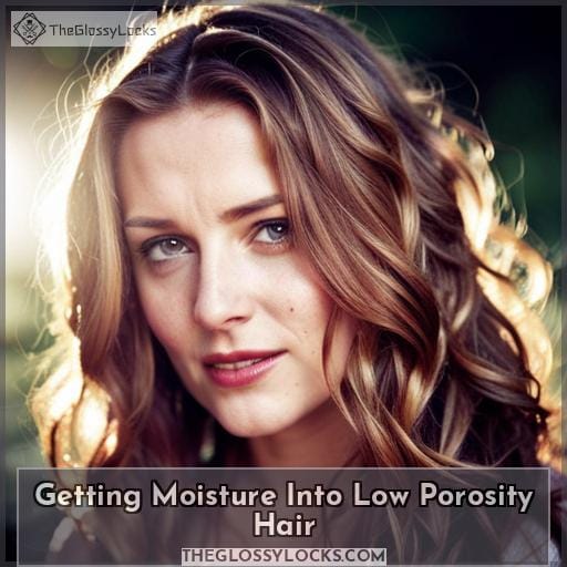 Getting Moisture Into Low Porosity Hair