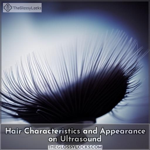 Hair Characteristics and Appearance on Ultrasound