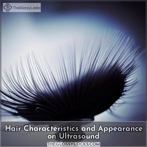 Hair Characteristics and Appearance on Ultrasound