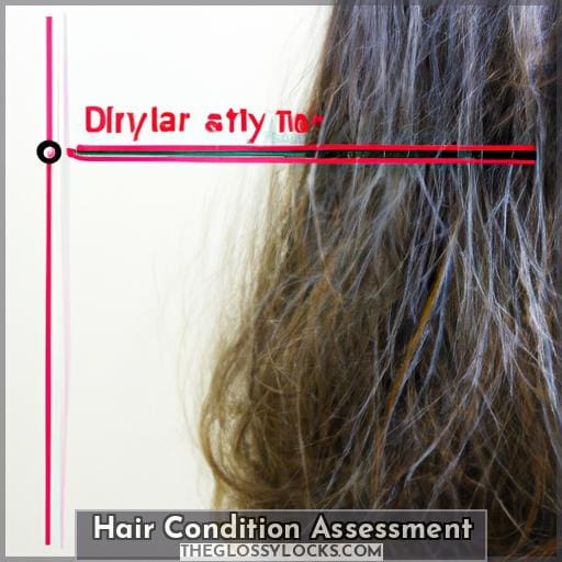 Hair Condition Assessment Hair Condition Assessment