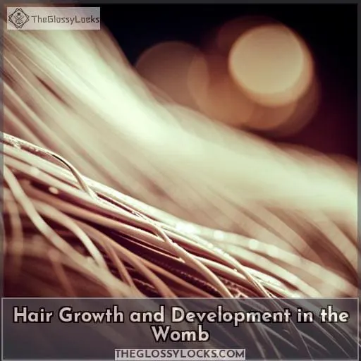Hair Growth and Development in the Womb
