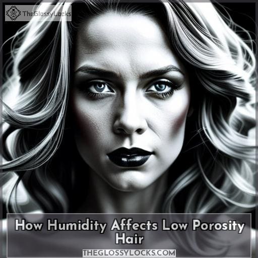 How Humidity Affects Low Porosity Hair