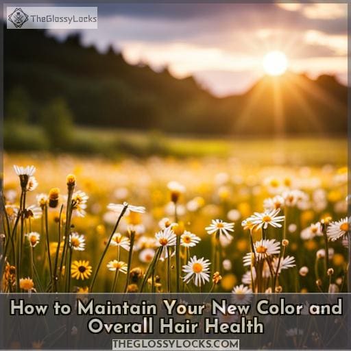How to Maintain Your New Color and Overall Hair Health