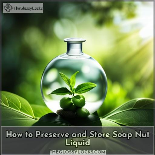 How to Preserve and Store Soap Nut Liquid