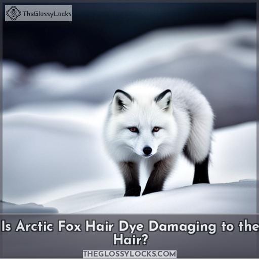 Is Arctic Fox Hair Dye Damaging to the Hair