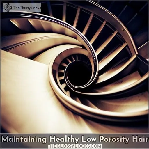 Maintaining Healthy Low Porosity Hair