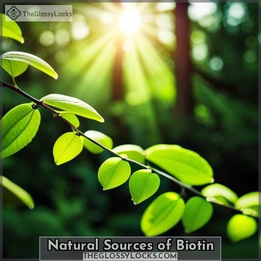 Natural Sources of Biotin Natural Sources of Biotin