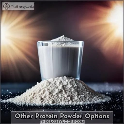 Other Protein Powder Options