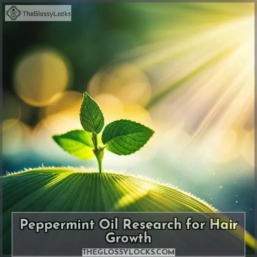 Peppermint Oil Research for Hair Growth