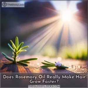 rosemary for hair