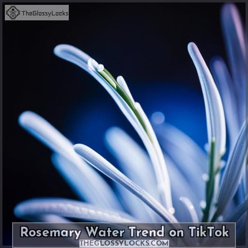 Rosemary Water Trend on TikTok