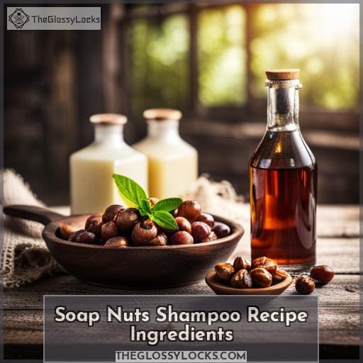 Soap Nuts Shampoo Recipe Ingredients