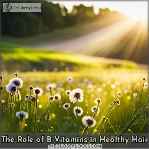The Role of B Vitamins in Healthy Hair