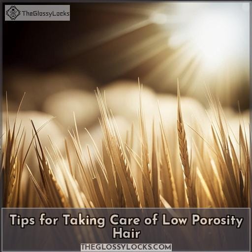 Tips for Taking Care of Low Porosity Hair