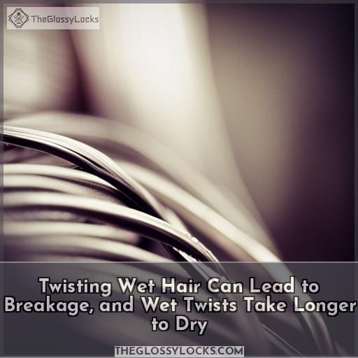 Twisting Wet Hair Can Lead to Breakage, and Wet Twists Take Longer to Dry