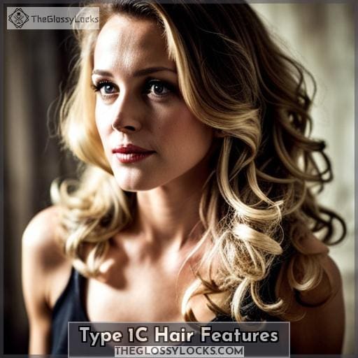 Type 1C Hair Features