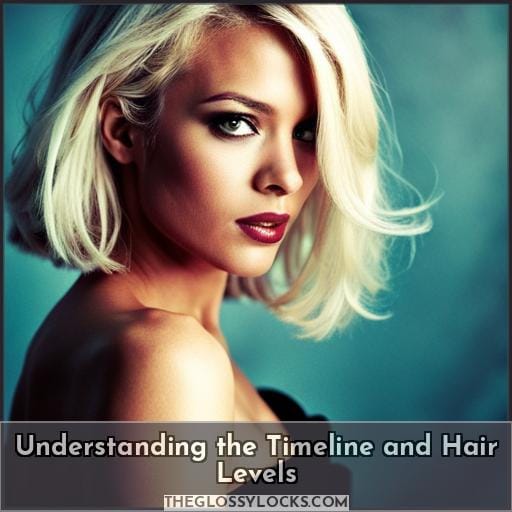 Understanding the Timeline and Hair Levels Understanding the Timeline and Hair Levels