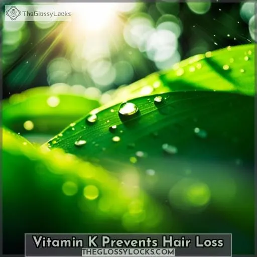 Vitamin K Prevents Hair Loss