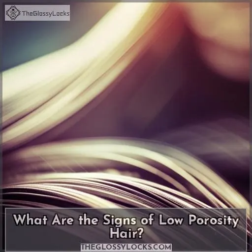 What Are the Signs of Low Porosity Hair