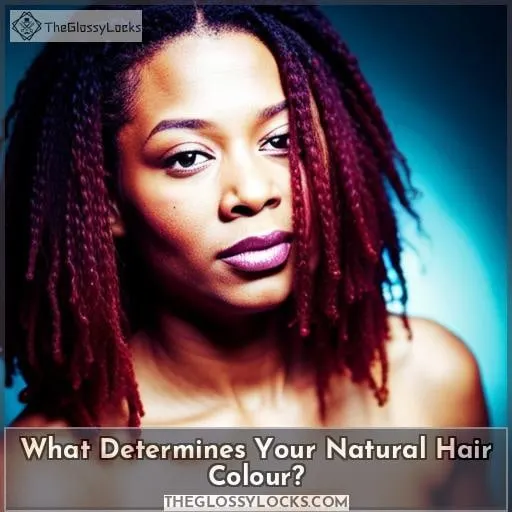 What Determines Your Natural Hair Colour